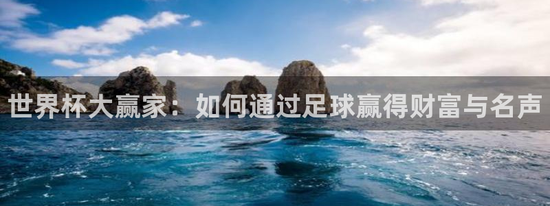 世界杯48支球队赛制:世界杯大赢家:如何通过足球赢得财富与名声