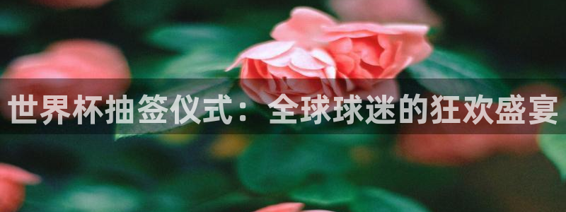 男足世界杯预选赛赛程:世界杯抽签仪式:全球球迷的狂欢盛宴