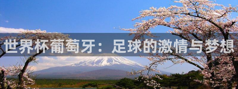 世界杯决赛预测：世界杯葡萄牙：足球的激情与梦想