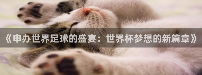 世界杯欧洲区预选赛：《申办世界足球的盛宴：世界杯梦想的新篇章》