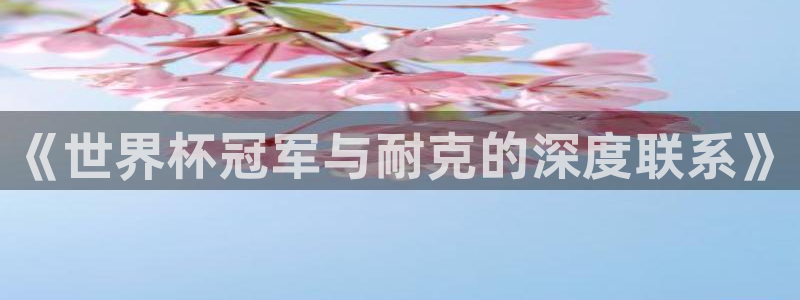 世界杯球队：《世界杯冠军与耐克的深度联系》