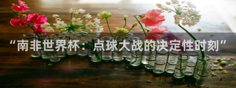 2026世界杯预选赛：“南非世界杯：点球大战的决定性时刻”