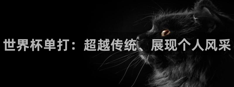 2026世界杯官网入口：世界杯单打：超越传统、展现个人风采