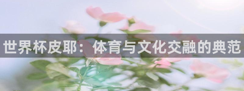 足球世界杯2026：世界杯皮耶：体育与文化交融的典范